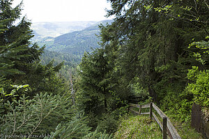 Obere Abschnitt vom Teufelskanzelweg