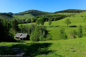 Blick von Bernau-Innerlehen über den Kurpark zum Spießhorn