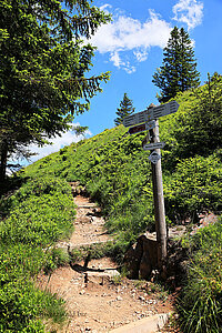 Alpiner Abschnitt des Belchensteigs