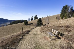 Panoramaweg am Dornwasen