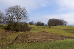 Landschaft bei Hasel