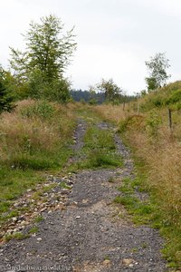 Wanderweg bei Hinterheubronn