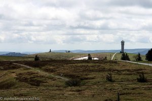 oben auf dem Feldberg