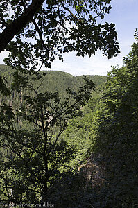 Ausblick vom Rappenfelsensteig