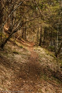 Schluchtensteig zwischen Rötenbachmündung und Lenzkirch