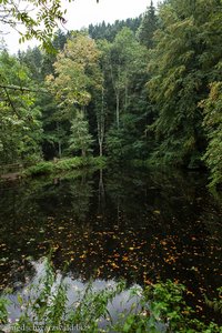 Forellenteich oberhalb der Ravennaschlucht