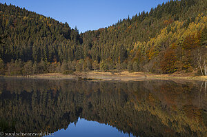 Wanderung auf dem Sankenbachsteig
