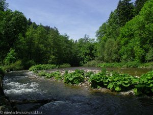 Wutachschlucht