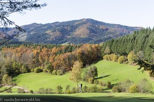 Blick über das Bühlerbächle-Tal