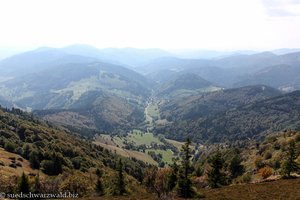 Aussicht ins Münstertal