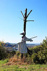Sohlberg-Hexe im Blindflug 