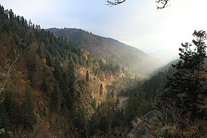 Herbstidylle im Lierbachtal 