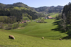 Aussicht über das Suggental