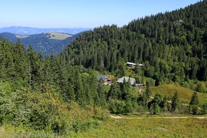 Aussicht vom Feldbergsteig über das Zastler Tal