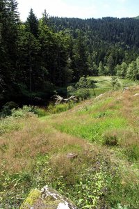 Blick über das Seebachtal