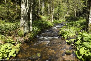 Blick auf die Mettma