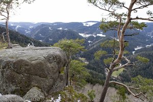 Aussicht vom Unteren Schlossfelsen