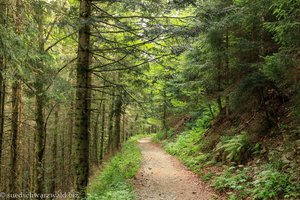 Westweg zwischen Krinne und Belchen