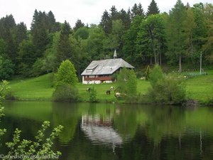 Klosterweiher oder auch Horbacher See