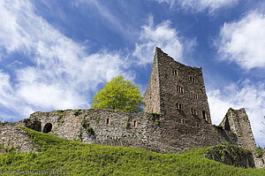 Ruine der Schauenburg