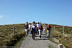 Wanderung auf dem Gipfelrundweg des Belchen