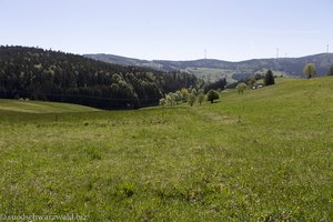 Aussicht von Waldmatt zum Binzkopf