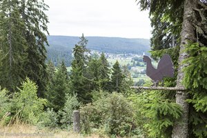 Lebensraum des Auerwilds oberhalb vom Schluchsee