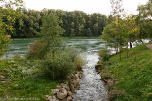 Mündung der Murg in den Rhein