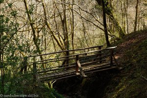 Brücke über einen Tobel