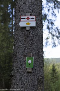 Auf dem Mittelweg durchs Mettmatal