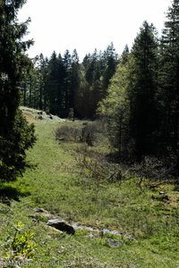 Flachmoor zwischen Raimartihöhe und Seebach