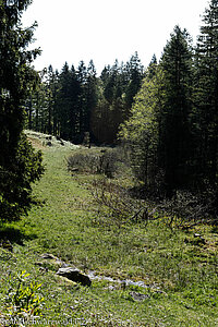 Flachmoor zwischen Raimartihöhe und Seebach