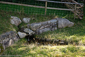 Murgquelle bei Lochhäuser