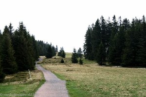Weg vom Berggasthof auf den Stübenwasen