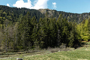 Aussicht von der Raimartihöhe zum Feldberg