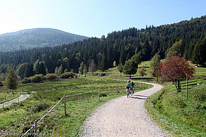 Wanderweg zwischen Unterkrummen und Schluchsee-Aha