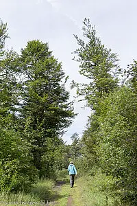 Auf dem Schluchseer Jägersteig