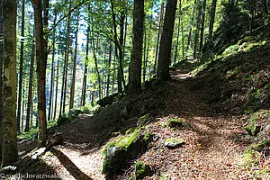 Abstieg vom Balzer Herrgott nach In der Guten