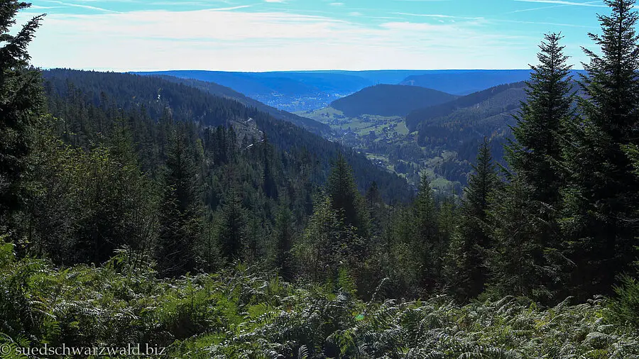 Aussicht vom Baiersbronner Tonbachsteig
