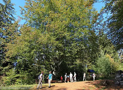 Balzer Herrgott und Teichschlucht