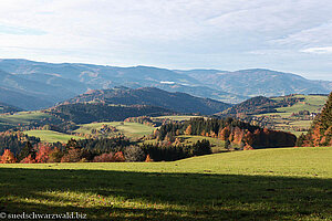 Aussicht von Hochrütte zum Südschwarzwald