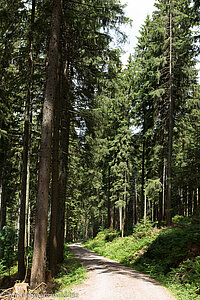 Wanderweg zum Huzenbacher See