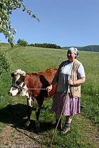 Bäuerin mit Hinterwälder-Kuh Lucil bei der Passhöhe Hau