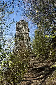 Pfad hoch zur Schwarzenburg