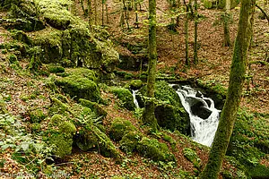 Höllbach oberhalb des Wasserfalls