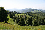 Aussicht nahe der Passhöhe Hau über das Kleine Wiesental