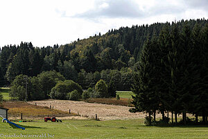 Kulturlandschaft im Hotzenwald