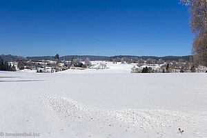 Winterlandschaft zwischen Rothaus und Dürrenbühl