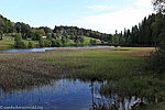 Blick über den Klosterweiher