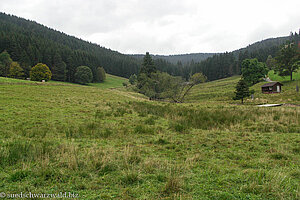 Wiese oberhalb Altgalshütten